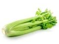 Celery