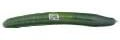 Hot House English Seedless Cucumber