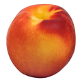 Nectarines
