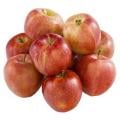 Gala Apples Tote Bag