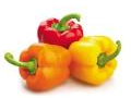 Rainbow Bell Peppers