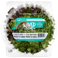 Mucci Farms Naked Leaf Living Trio Lettuce