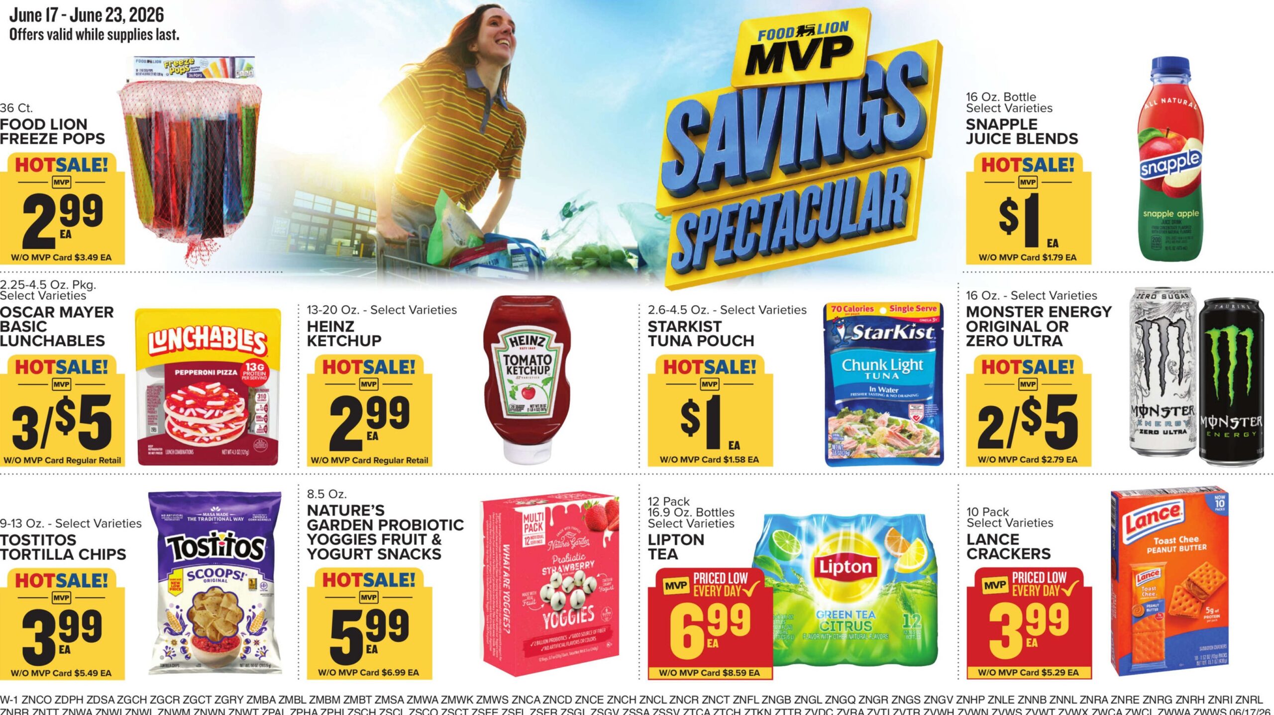Food Lion Weekly Ad Page 13