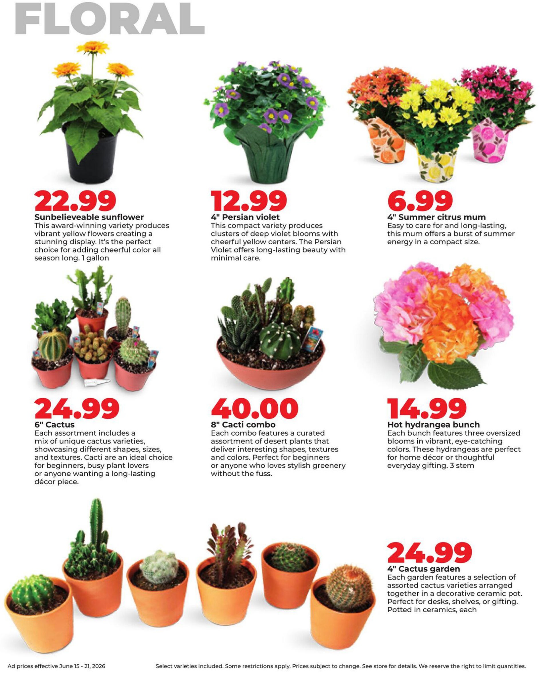 Hyvee Weekly Ad Page 35