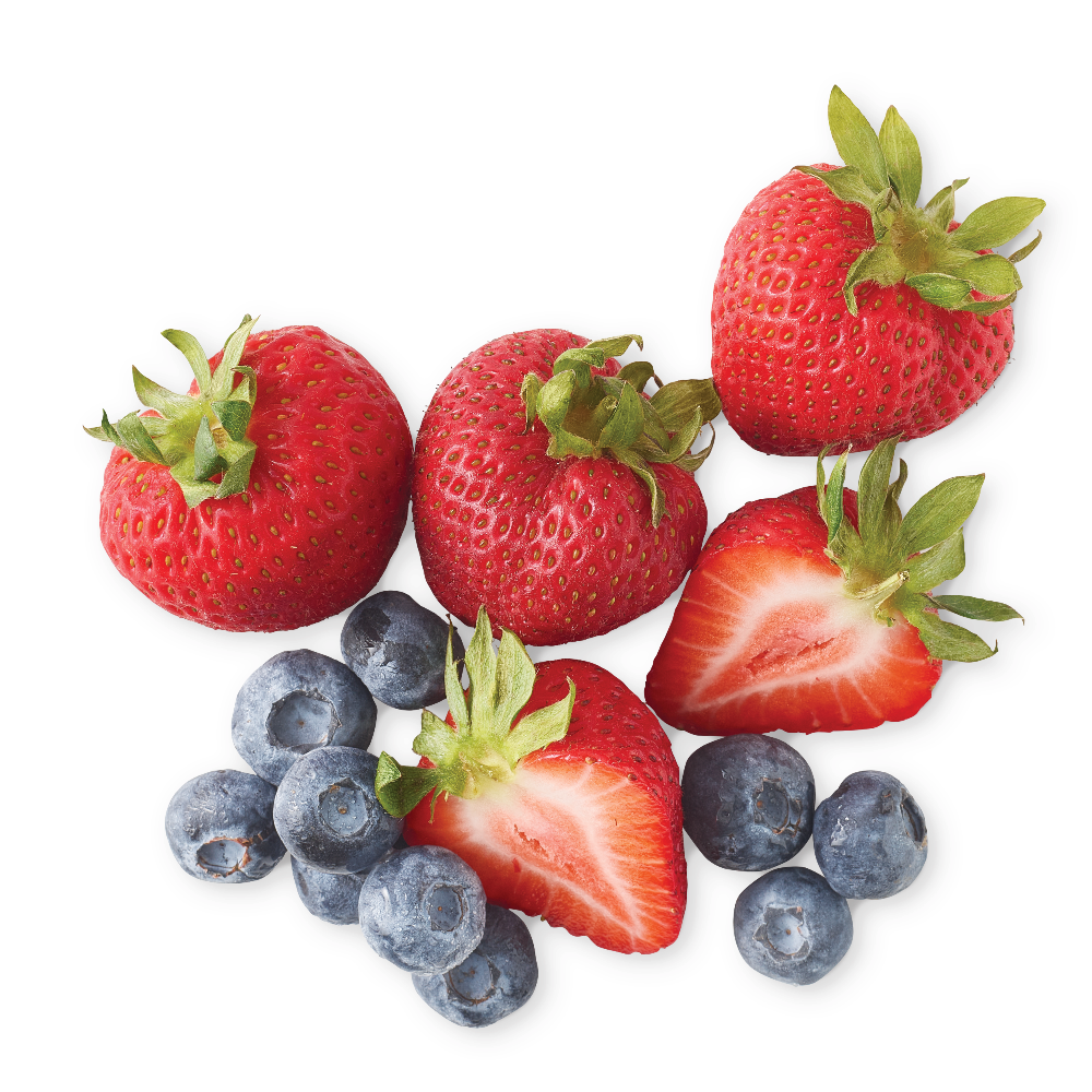Georgia Blueberries
