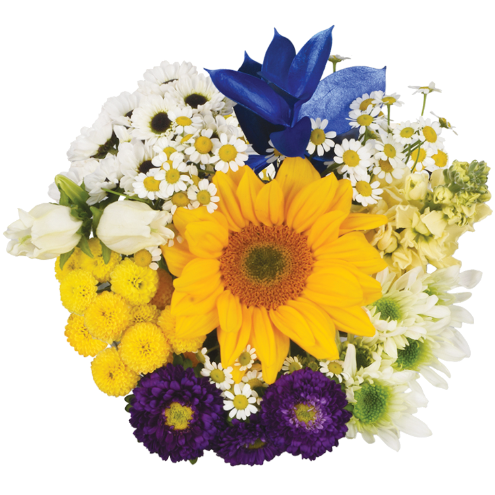 Bloom Haus Starry Night Bouquet