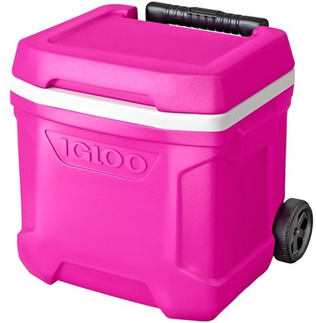 Igloo items