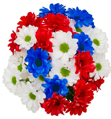 Good Little Garden™ red, white & blue daisy bouquet