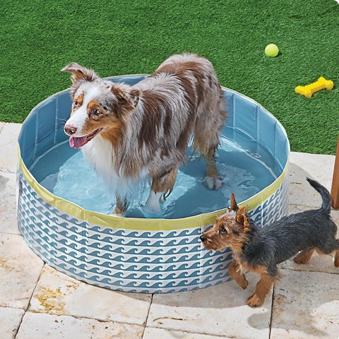 Boots & Barkley™ 175-liter pet pool