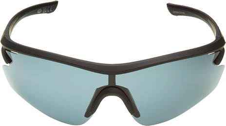 Foster Grant Sunglasses