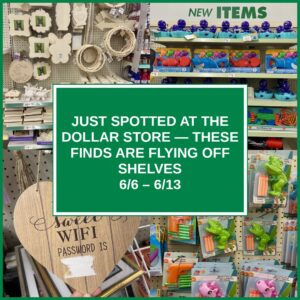 Just Spotted at the Dollar Store — These Finds Are Flying Off Shelves (6/6 – 6/13)