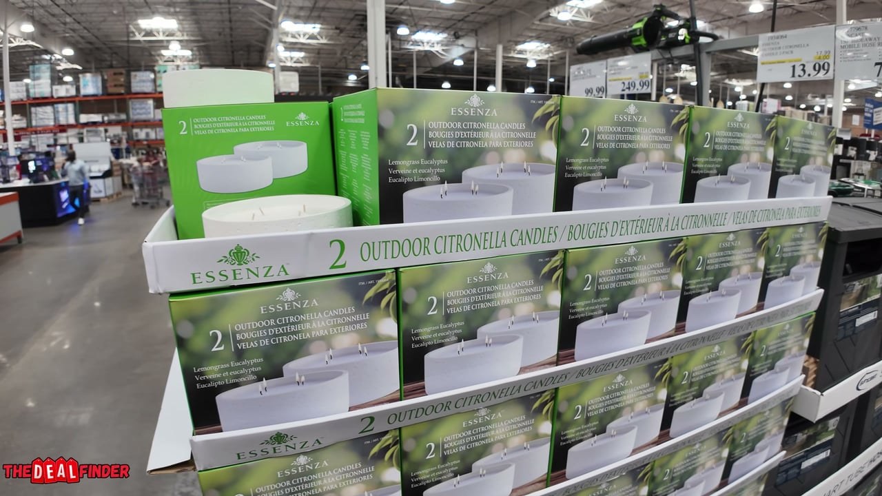 Citronella Candles / Outdoor Lighting & String Lights
