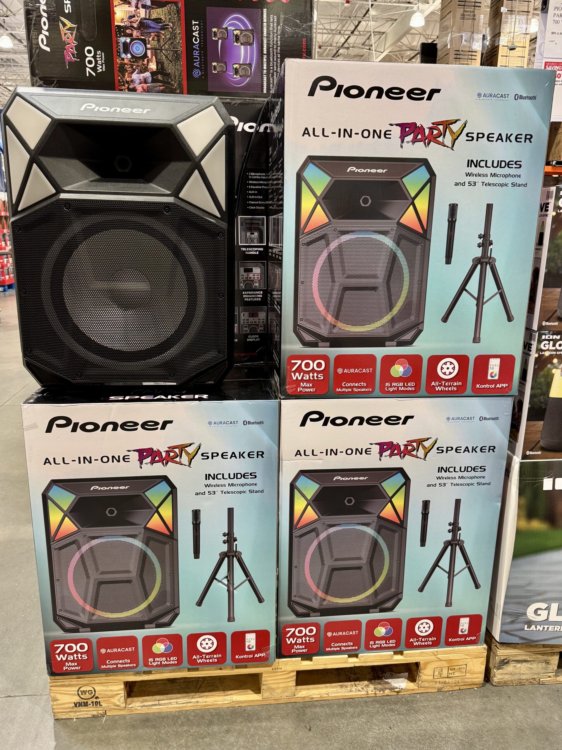 Pioneer All-In-One Party Speaker
