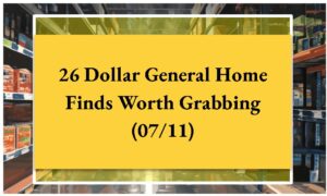 26 Dollar General Home Finds Worth Grabbing (07/11)