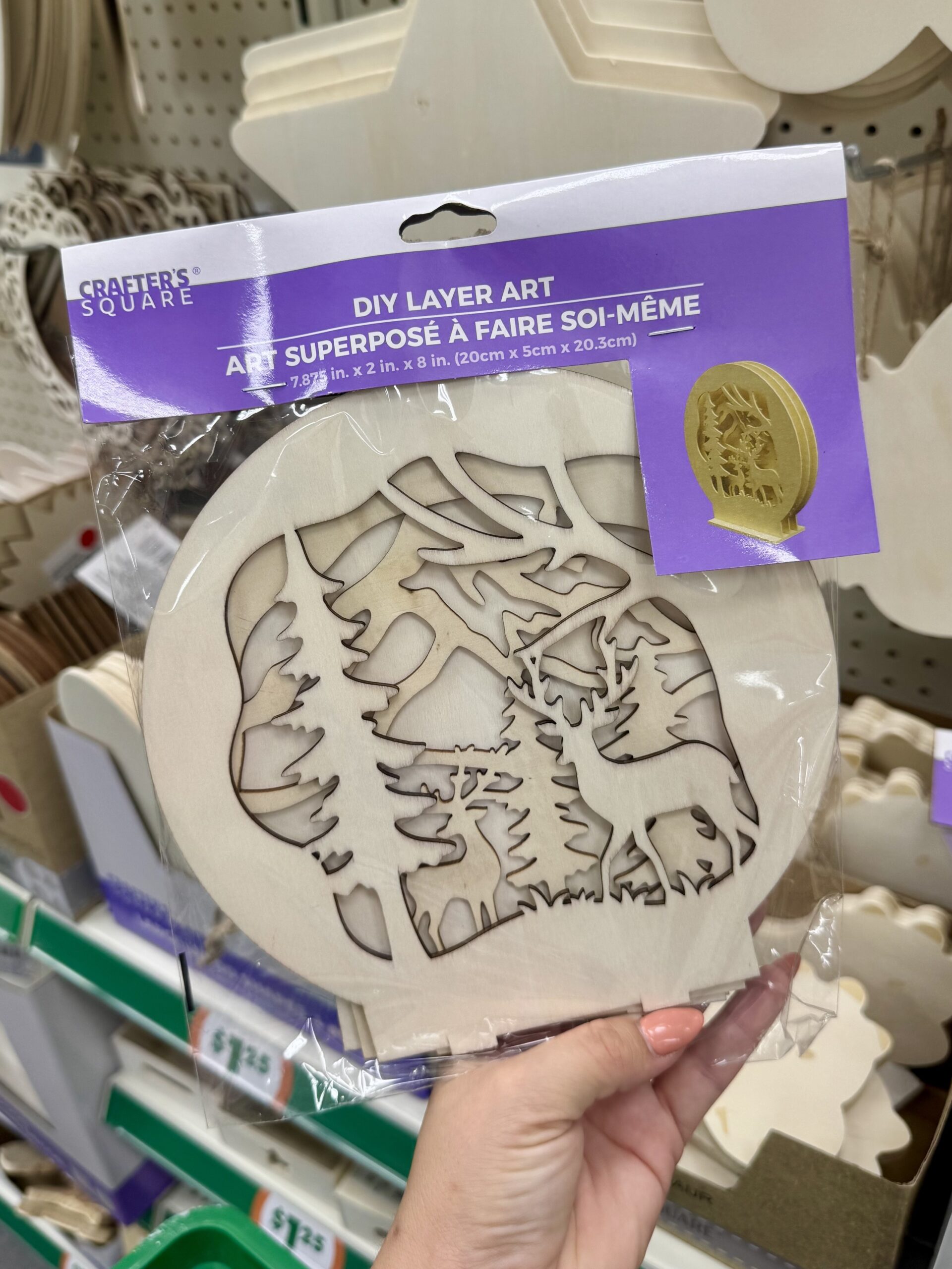 Crafter's Square DIY Layer Art - in store