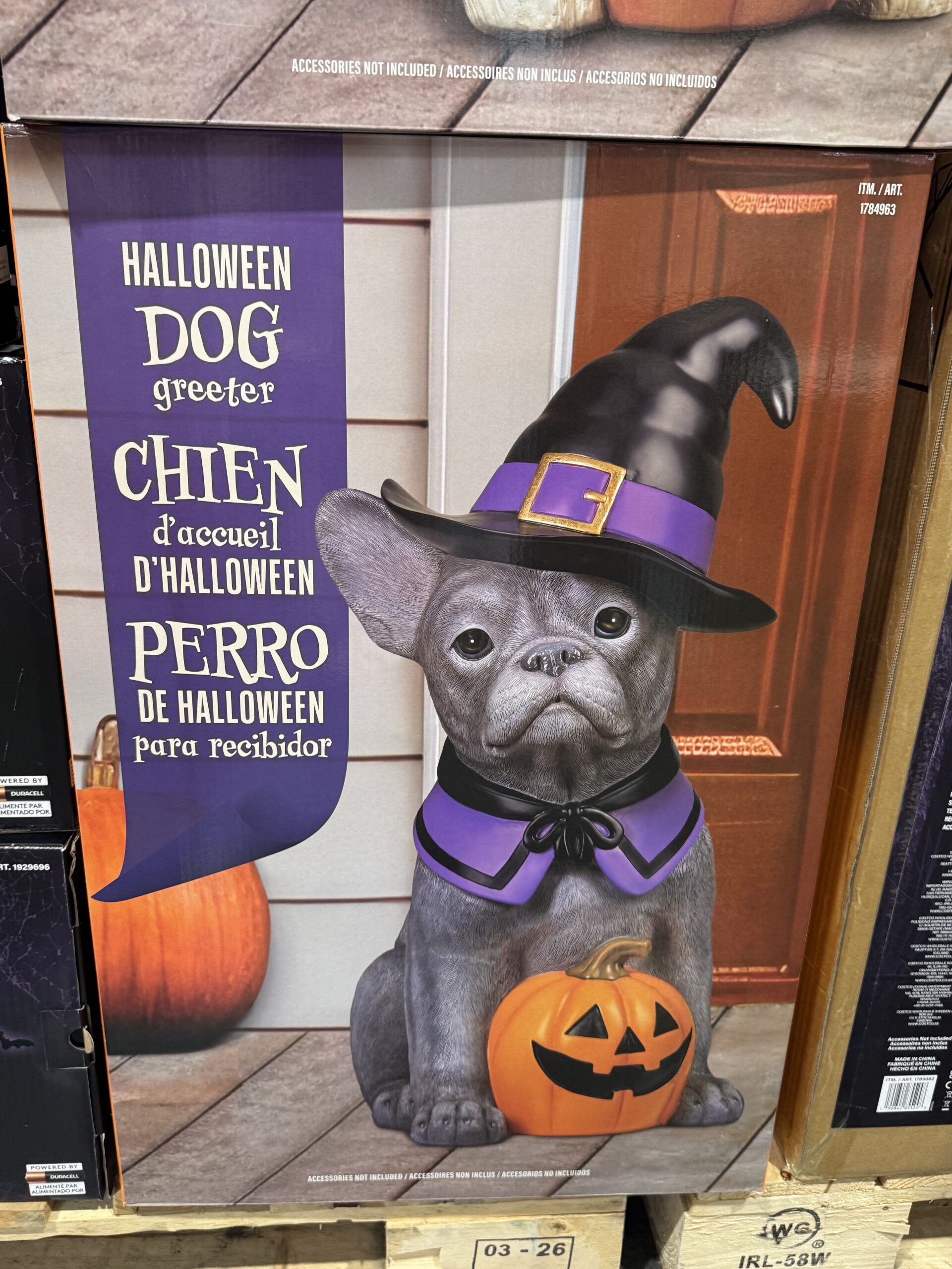 Halloween Dog Greeter