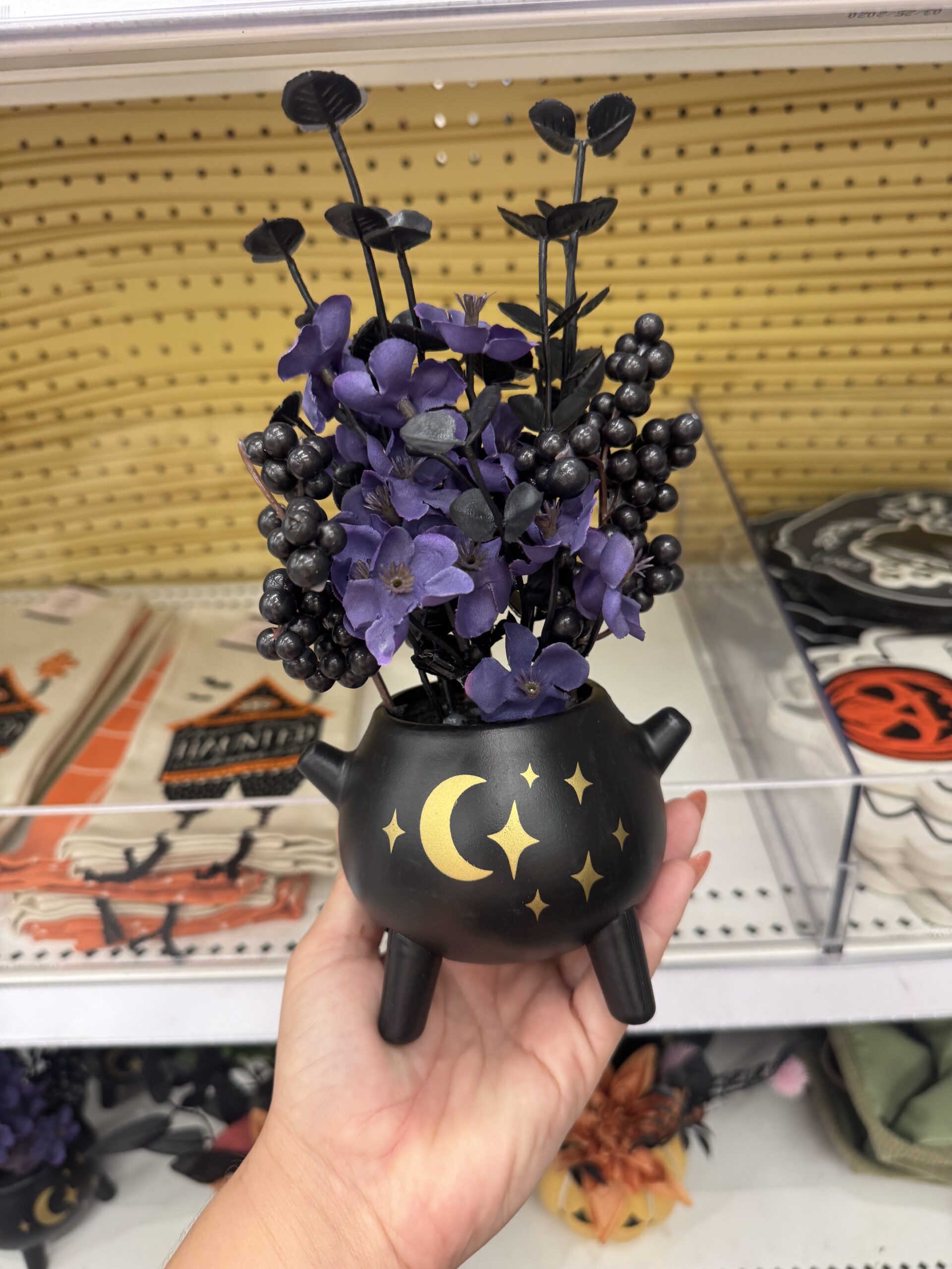Hyde & EEK! Boutique Cauldron Floral - in store