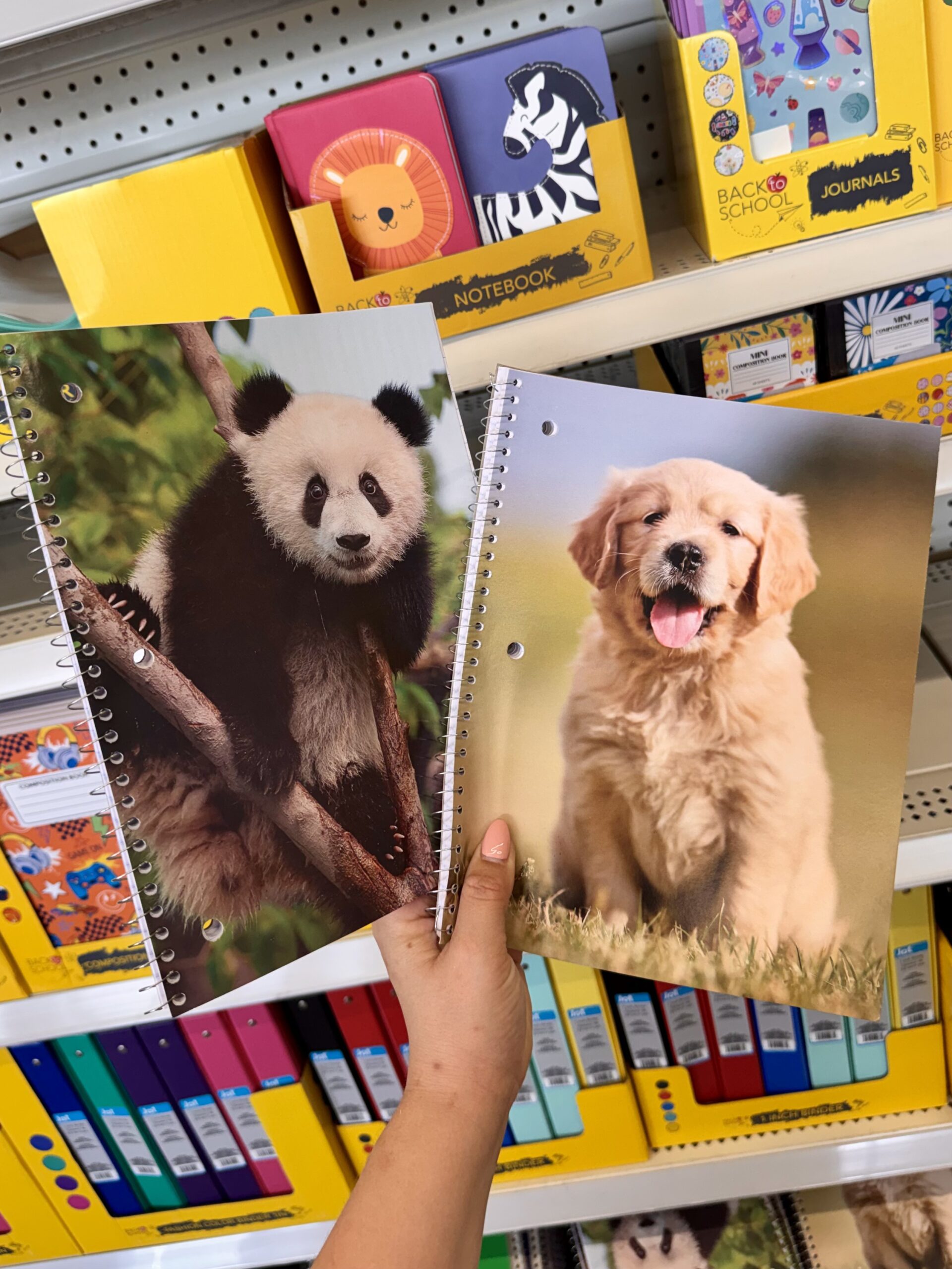 Back to School Supplies - in store