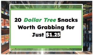 20 Dollar Tree Snacks Worth Grabbing for Just $1.25