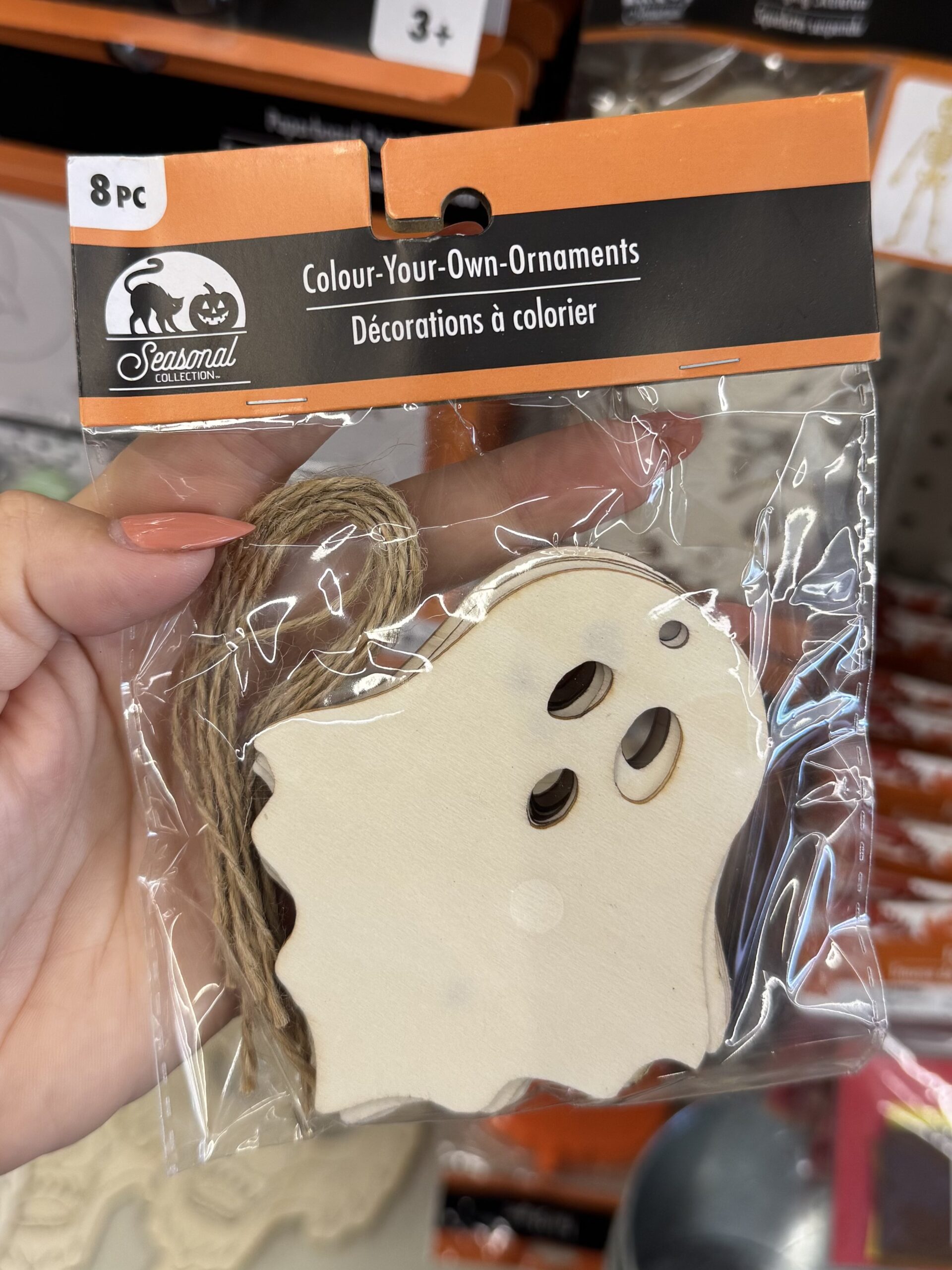 Seasonal Collection DIY Ornaments - in store