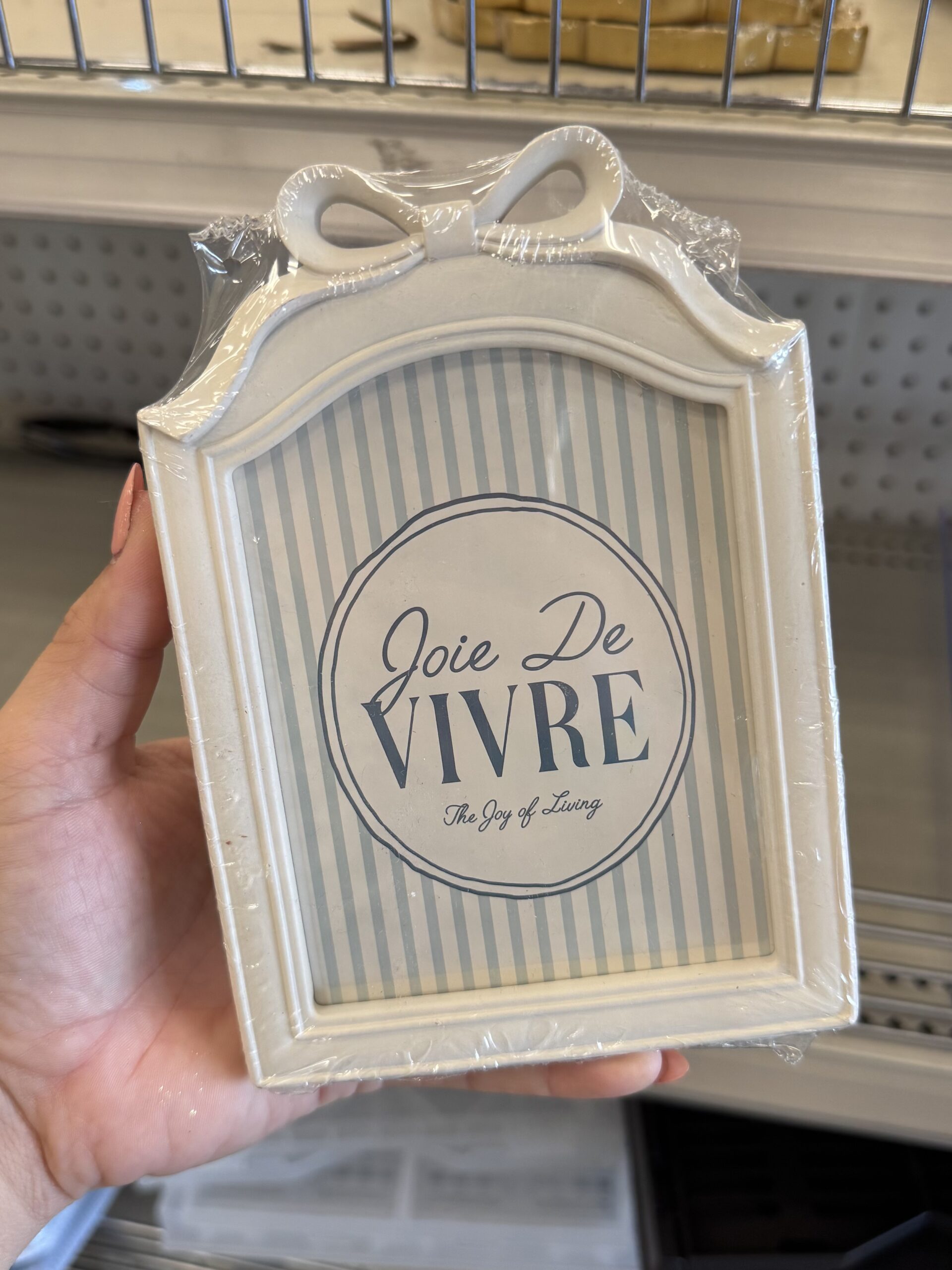 Sylvie Demers Joie De Vivre Matted Framed Art - in store
