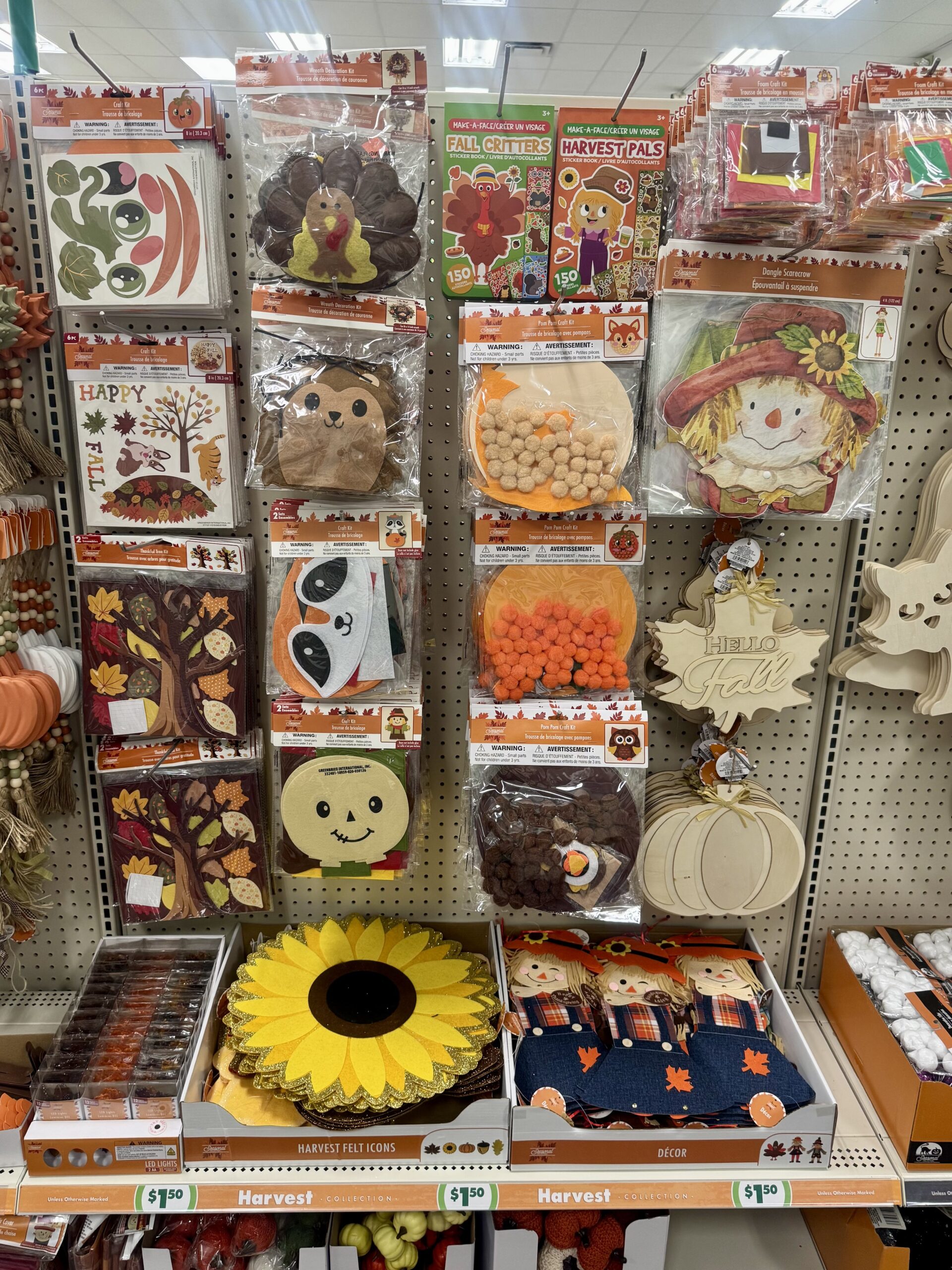Harvest & Fall Craft Supplies - in store