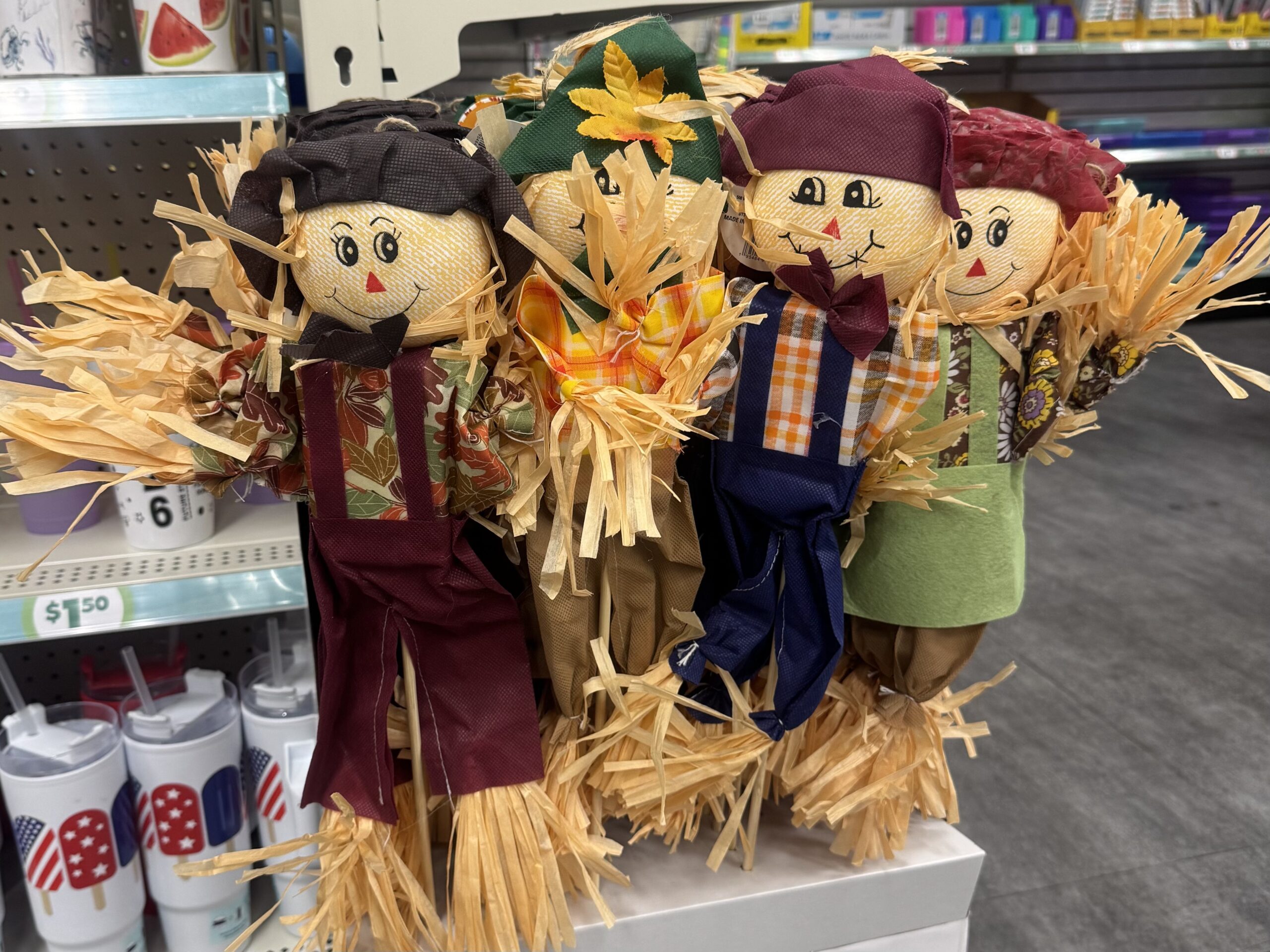 Seasonal Decor and Drinkware - in store