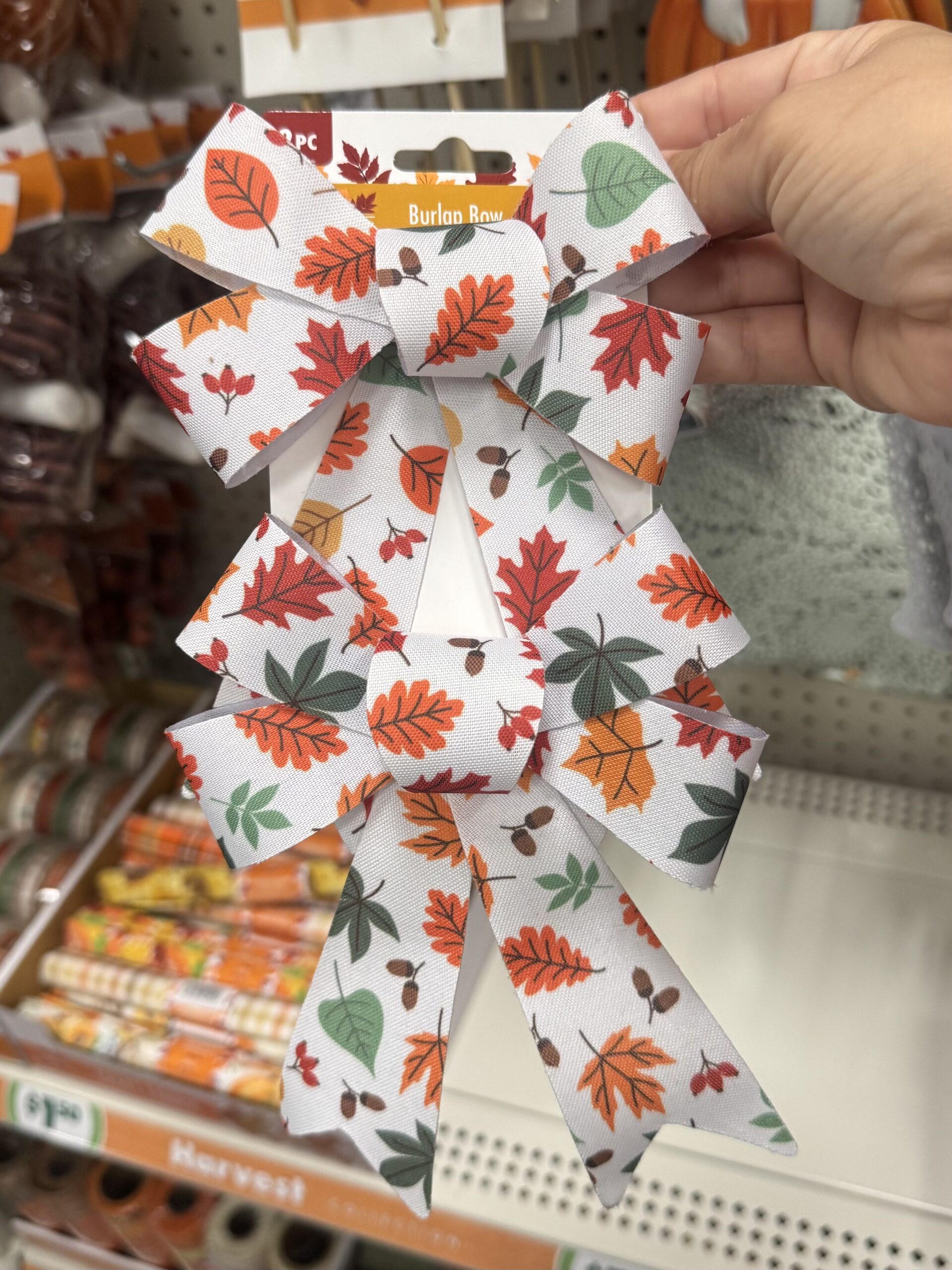 Fall Decor & Craft Supplies - in store