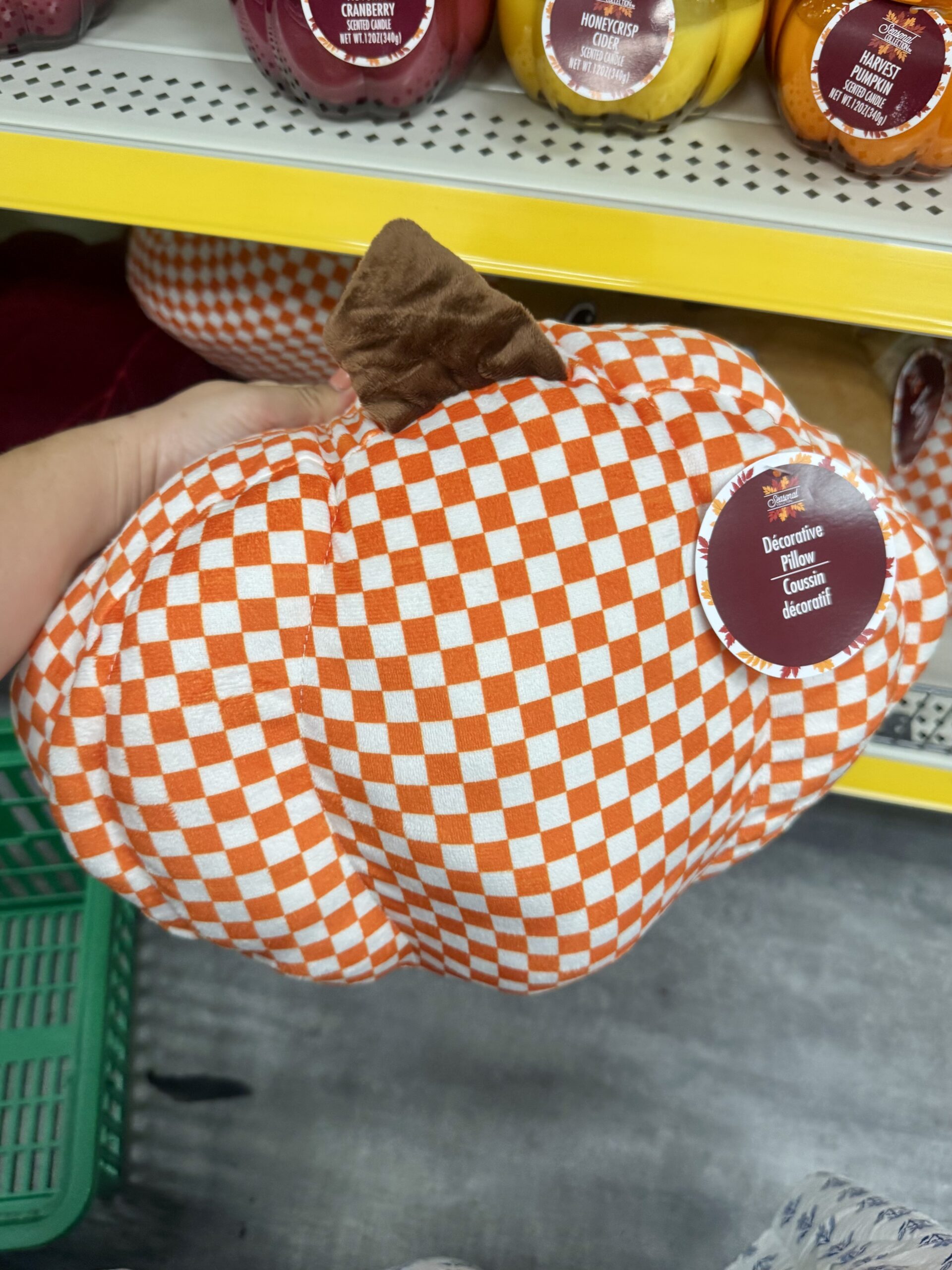 Seasonal Collection Harvest Decorative Pillow - in store