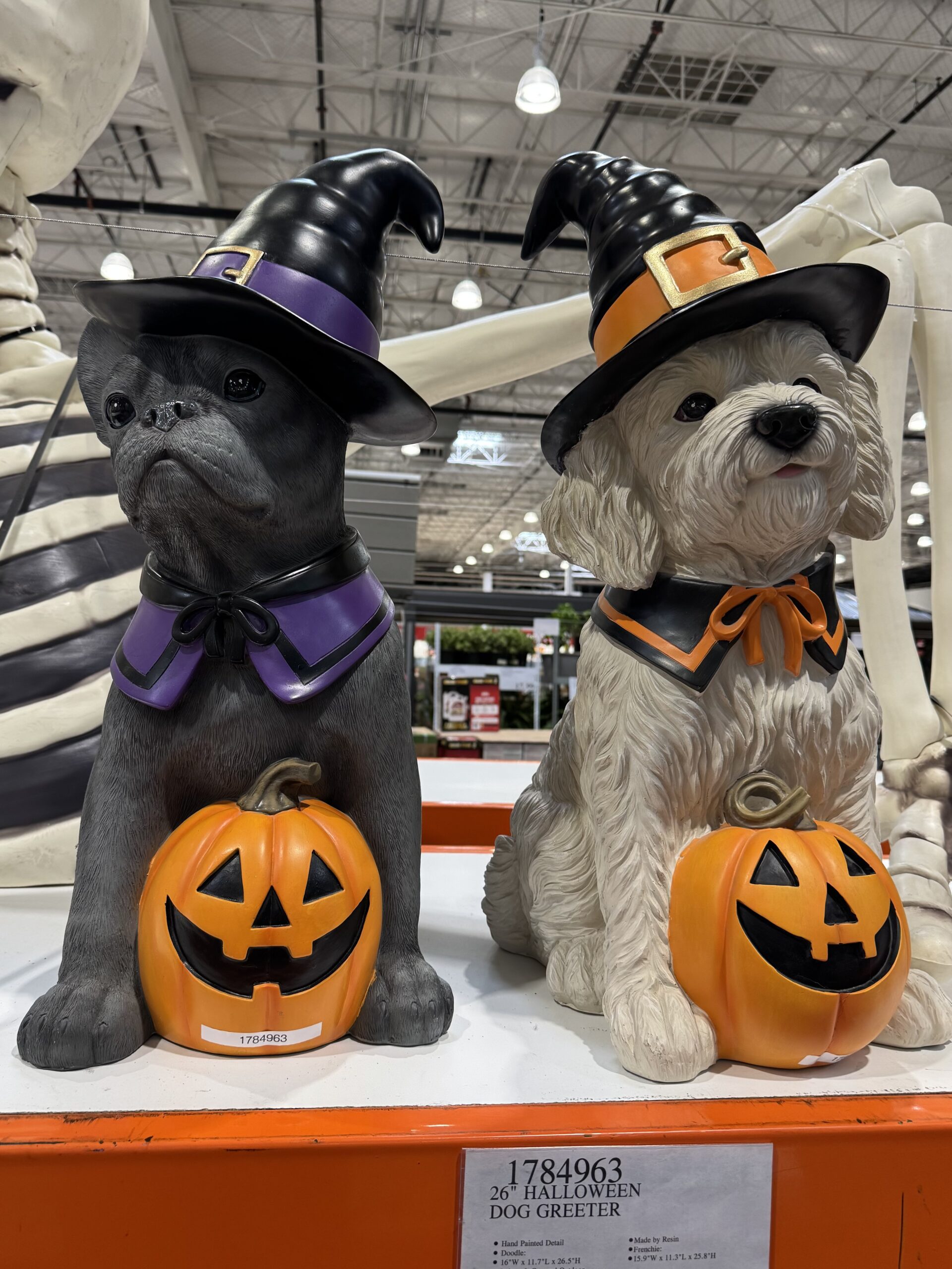 26" Halloween Dog Greeter