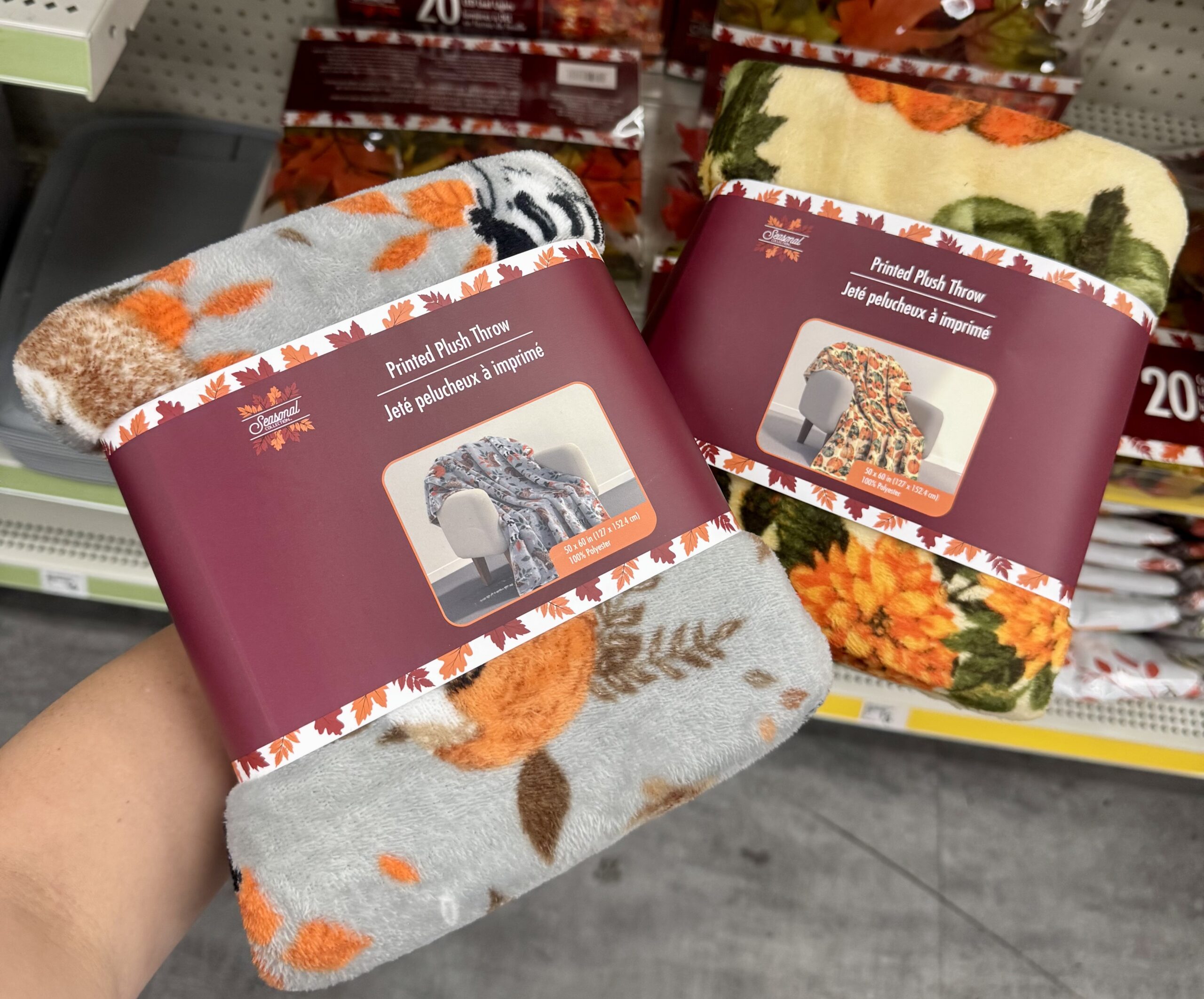 Fall Seasonal Decor - in store