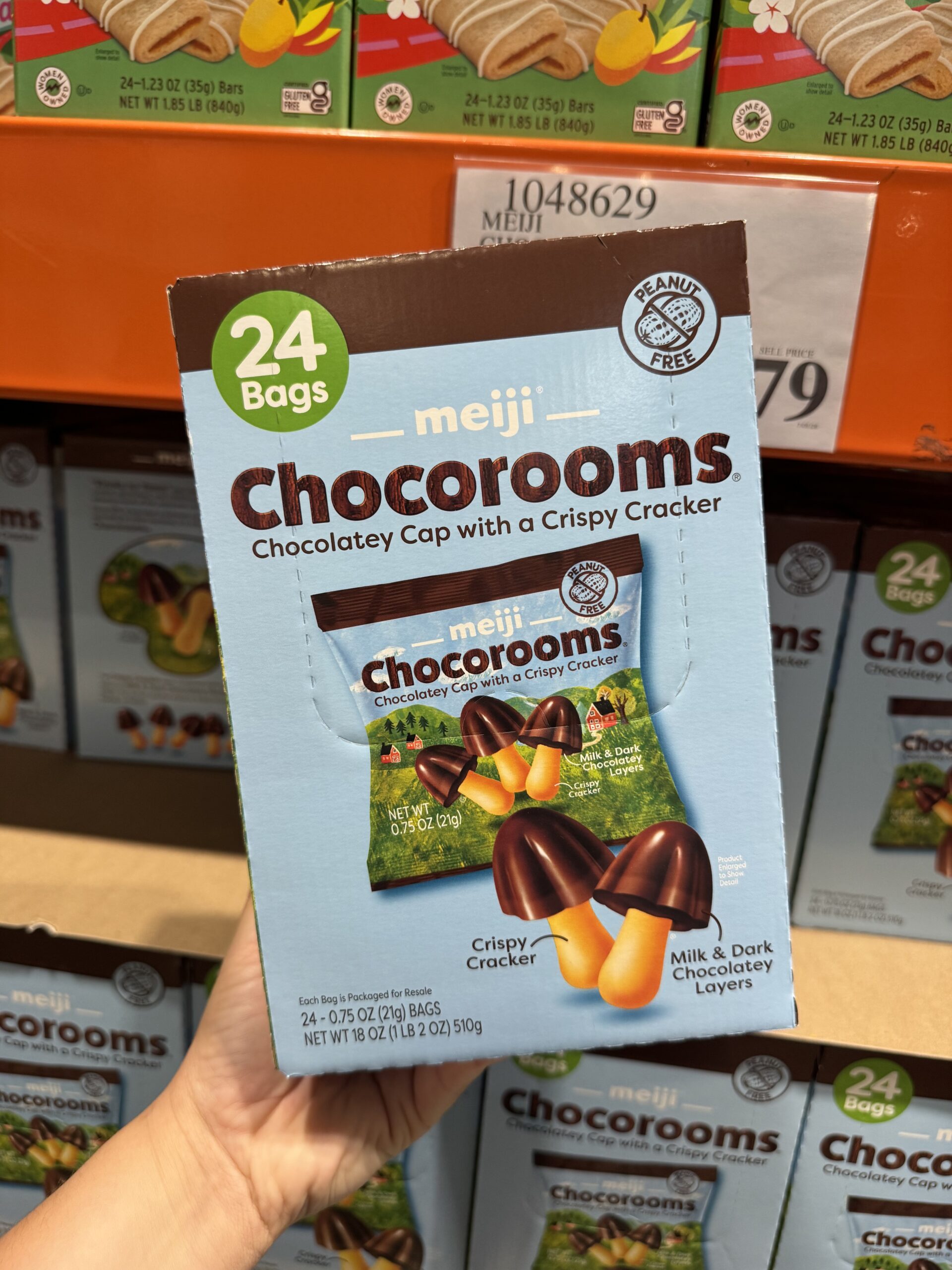 Meiji Chocorooms