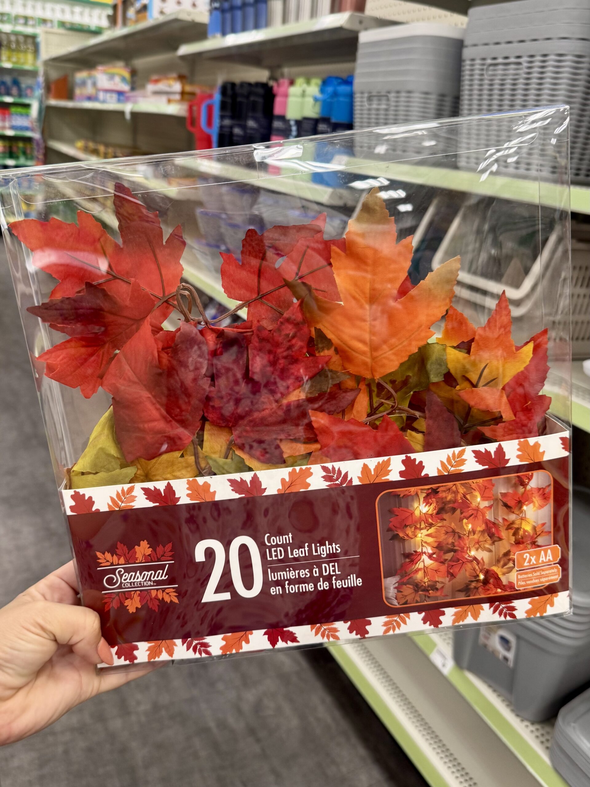Seasonal Decor and Home Goods - in store