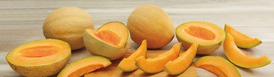 Athena Cantaloupes