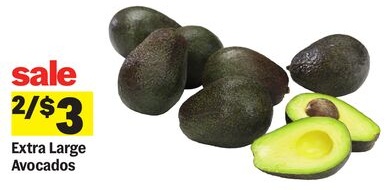 Extra Large Avocados