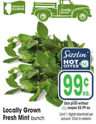 Locally Grown Fresh Mint