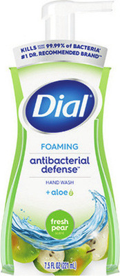 Dial Foaming Hand Wash