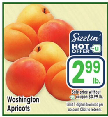 Washington Apricots