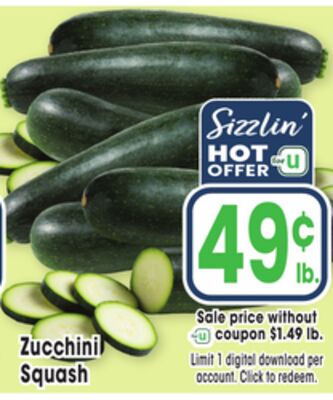 Zucchini Squash