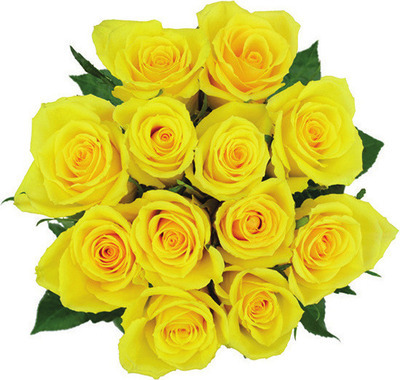 Market Bunch Dozen Roses