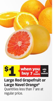 Large Red Grapefruit or Large Navel Orange*