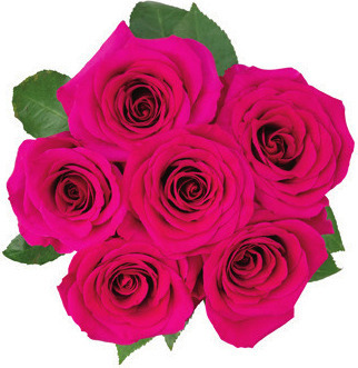 Floral and Vine by Meijer 6 Stem Rose Bunch*