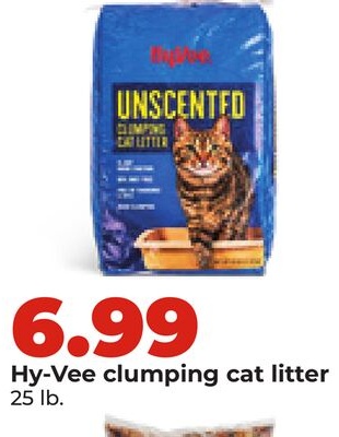 Hy-Vee clumping cat litter