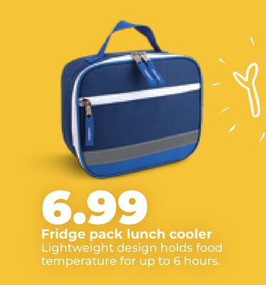 Fridge pack lunch cooler