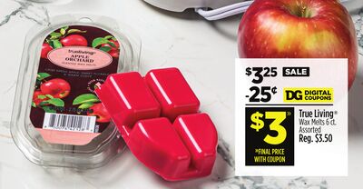 True Living® Wax Melts