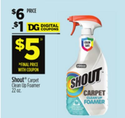 Shout® Carpet Clean Up Foamer