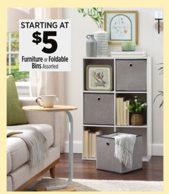 Furniture or Foldable Bins