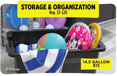 STORAGE & ORGANIZATION