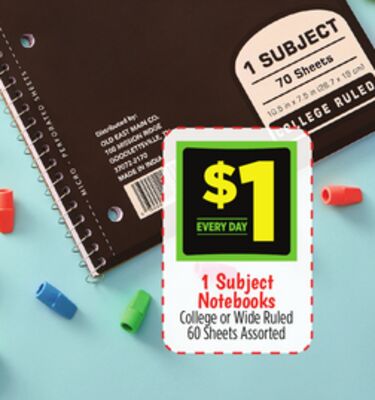 1 Subject Notebooks