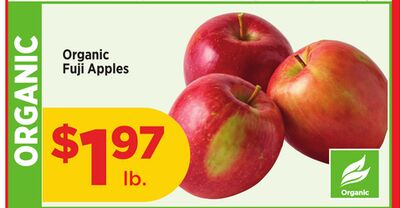 Organic Fuji Apples